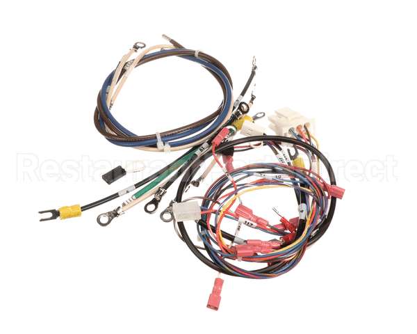0701062 Antunes Wire Set, Rs-1000