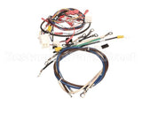 0701062 Antunes Wire Set, Rs-1000