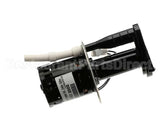 07097.0008 Bunn Pump Motor Kit, 240V 50Hz