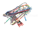 072075 Grindmaster Cecilware Harness Non-Shutter Wiring