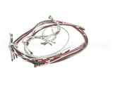072379 Marsal Pizza Ovens Harnessct302 3P4W Element