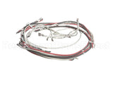 072379 Marsal Pizza Ovens Harnessct302 3P4W Element