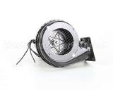 0769180KLC Cres Cor Blower Repl. Kit 120V. (Fasco Blower)