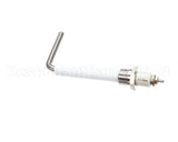 08-6398 Market Forge Probe Water Level Control