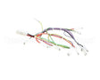 08.CC0004115 Grindmaster Cecilware Lola Wiring Harness
