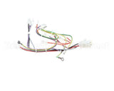 08.CC0004115 Grindmaster Cecilware Lola Wiring Harness