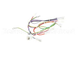 08.CC0004115 Grindmaster Cecilware Lola Wiring Harness