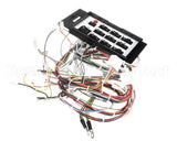 08.FD0002115 Grindmaster Cecilware Frosty3 Etl Harness Spm