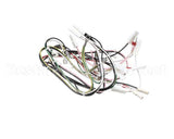 08.GT0001110 Grindmaster Cecilware Gt1 11560 Etl Harness