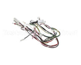 08.GT0001110 Grindmaster Cecilware Gt1 11560 Etl Harness
