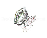 08.GT0001110 Grindmaster Cecilware Gt1 11560 Etl Harness