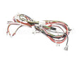 08.GT0003115 Grindmaster Cecilware Gt2P Etl Harness