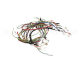 08.MP0010115 Grindmaster Cecilware Wiring