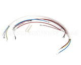 08191L Grindmaster Cecilware Wiring Harness - Sg1Lg 120V Sp