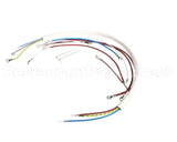 08191L Grindmaster Cecilware Wiring Harness - Sg1Lg 120V Sp