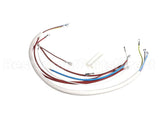 08191L Grindmaster Cecilware Wiring Harness - Sg1Lg 120V Sp