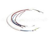 08191L Grindmaster Cecilware Wiring Harness - Sg1Lg 120V Sp