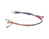 083292 Perfect Fry Harness Ctrol 2 Pfc Series