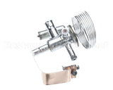 089993 Electrolux Professional Valvole