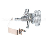 089993 Electrolux Professional Valvole