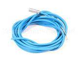 092175 Electrolux Professional Probe, 6X20, Blu, L3000Mm