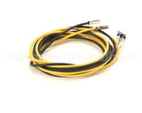 092188 Electrolux Professional Probe; 6X20;Yellow/Black; L=2000Mm