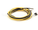 092188 Electrolux Professional Probe; 6X20;Yellow/Black; L=2000Mm