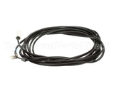 093441 Electrolux Professional Probe