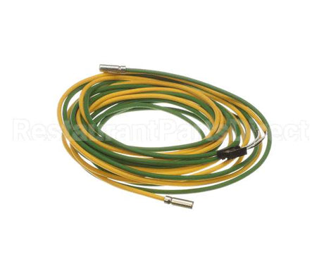 093442 Electrolux Professional Probe
