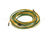 093442 Electrolux Professional Probe