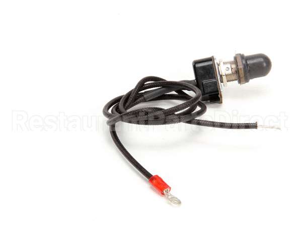 09891 Lakeside Rep Self-Leveling Elect Switch