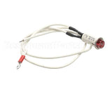 09917 Dinex Pilot Light