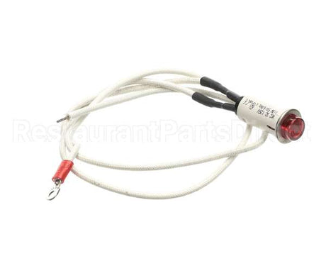 09917 Dinex Pilot Light