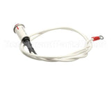 09917 Dinex Pilot Light