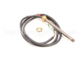 099935 Electrolux Professional Thermostatic Cartridge; Ptc 120V 120W 18