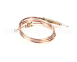 0C0202 Electrolux Professional Thermocouple, M8X1 L750Mm