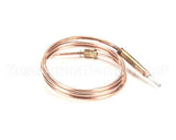 0C0202 Electrolux Professional Thermocouple, M8X1 L750Mm