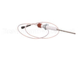 0C1049 Electrolux Professional Flame Dectection Plug