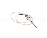 0C1049 Electrolux Professional Flame Dectection Plug