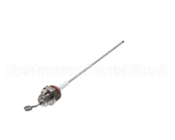 0C1055 Electrolux Professional Level Probe