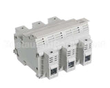 0C1487 Electrolux Professional Fuse Carrier