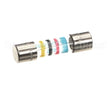 0C5239 Electrolux Professional Time-Lag Fuse, 4A 5X20