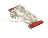 0C6035 Electrolux Professional Wiring Harness