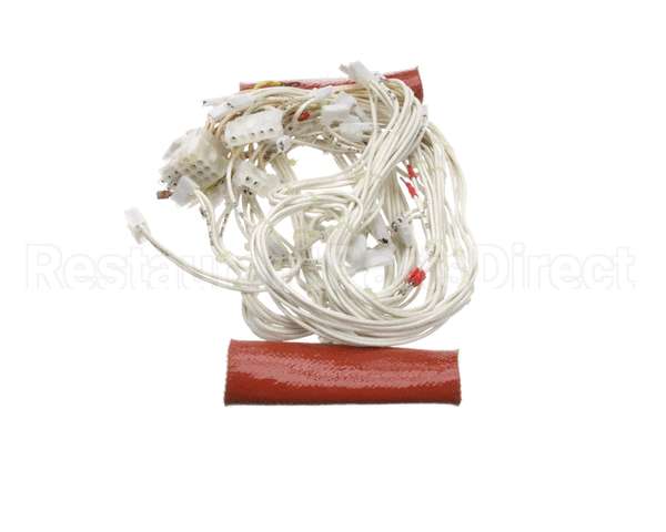 0C6035 Electrolux Professional Wiring Harness