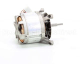0C6703 Electrolux Professional Motor, 100V/120V-750W 50/60Hz