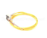 0C7421 Electrolux Professional Thermocouple;Dia.3,17;L=1500Mm;Angle 90