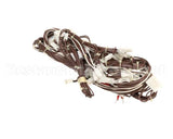 0C9015 Electrolux Professional Wiring Harness