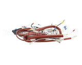 0C9678 Electrolux Professional Wiring Harness