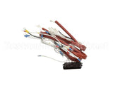 0C9678 Electrolux Professional Wiring Harness