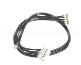 0CA703 Electrolux Professional Wiring Harness, Ui-Acu Hspe